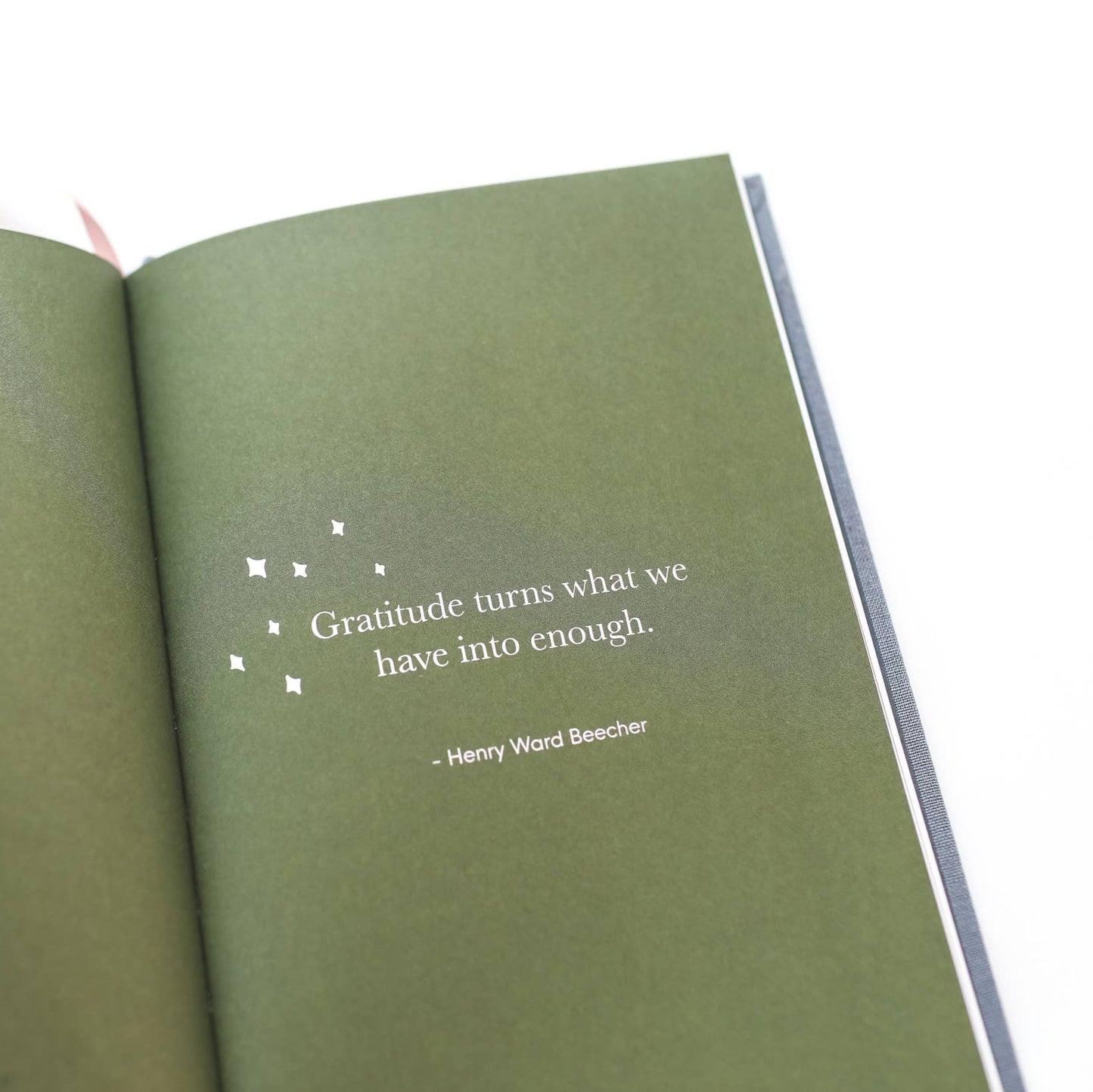 The Gratitude Journal for Grown-Ups