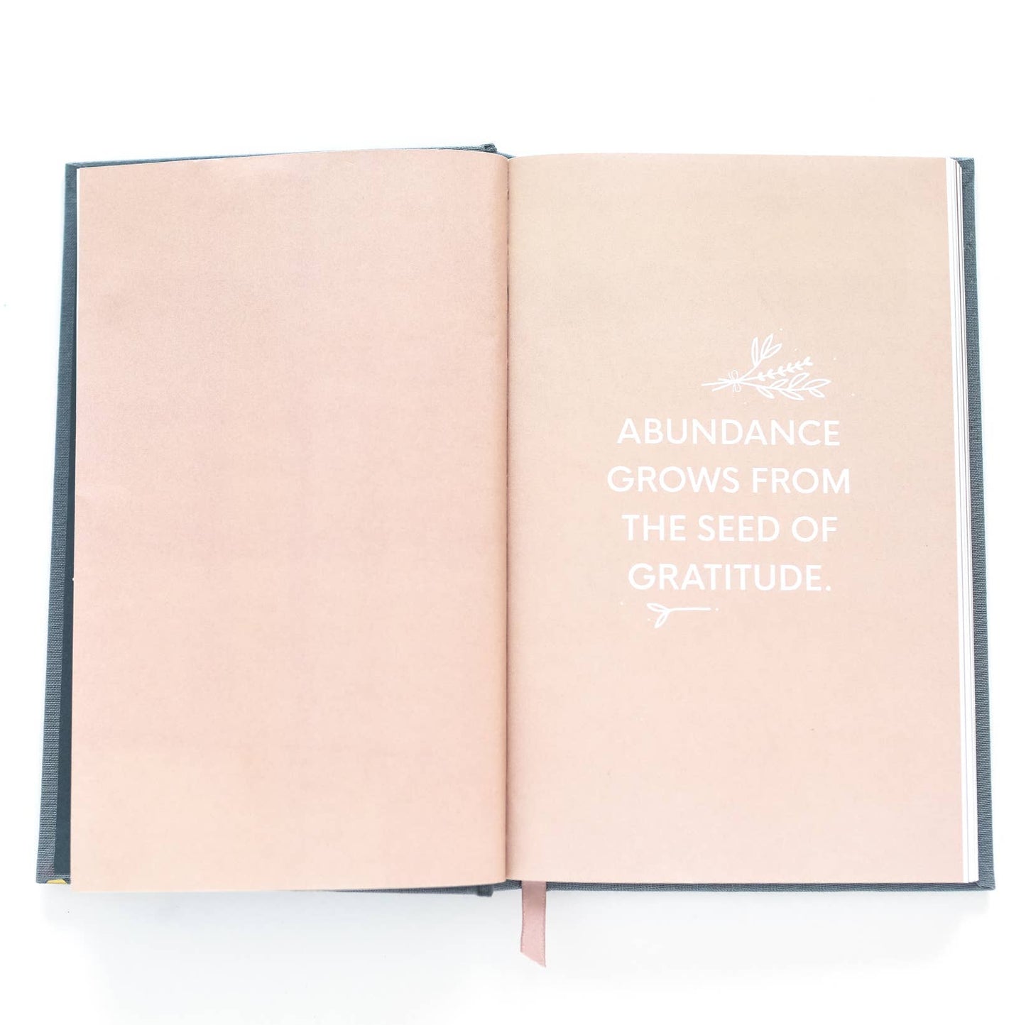 The Gratitude Journal for Grown-Ups
