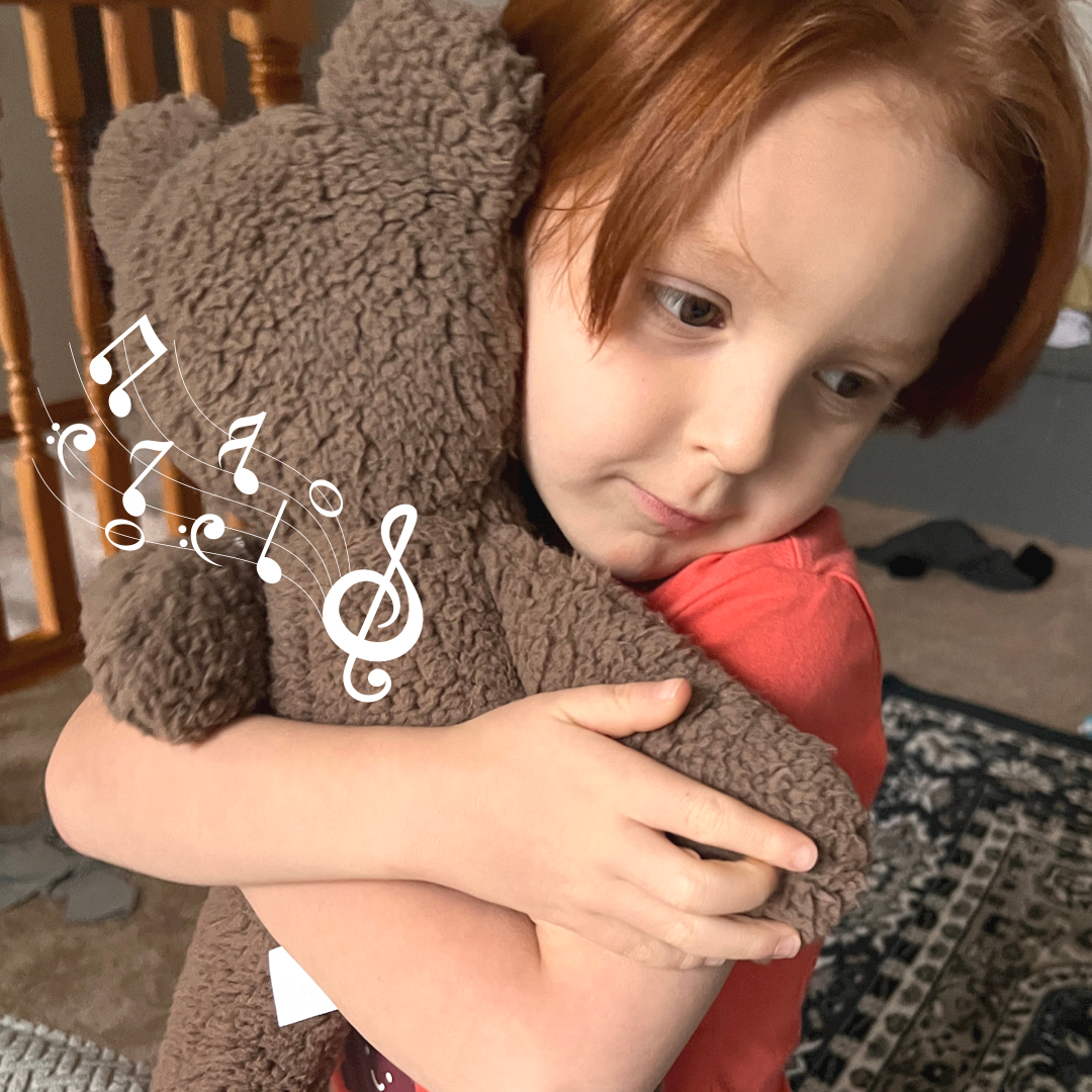 Teddy bear with personal top voice message