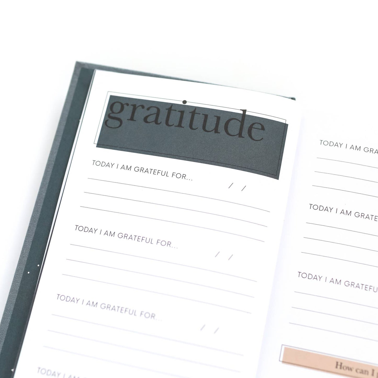 The Gratitude Journal for Grown-Ups