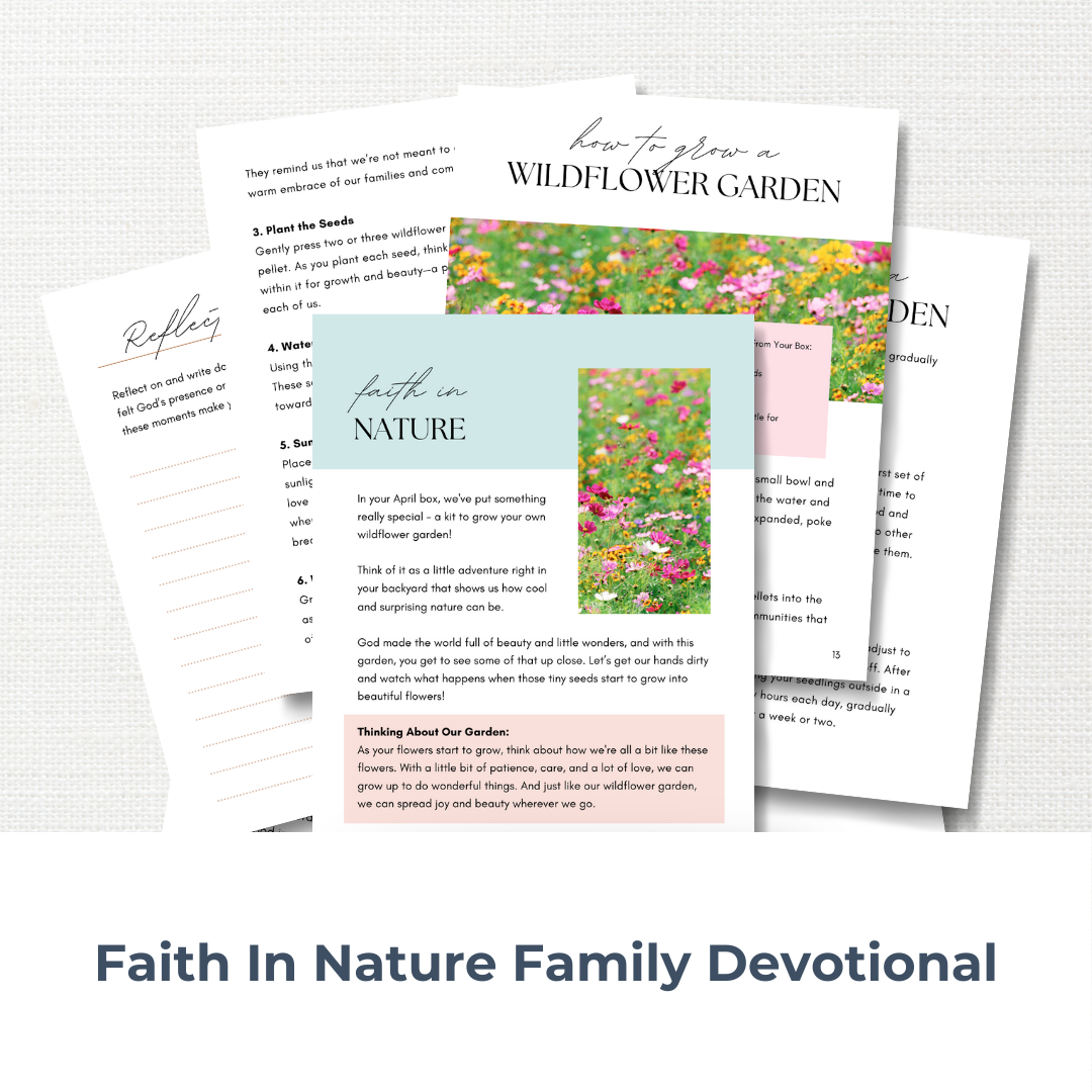 Faith In Nature - Bible Study Box for Families