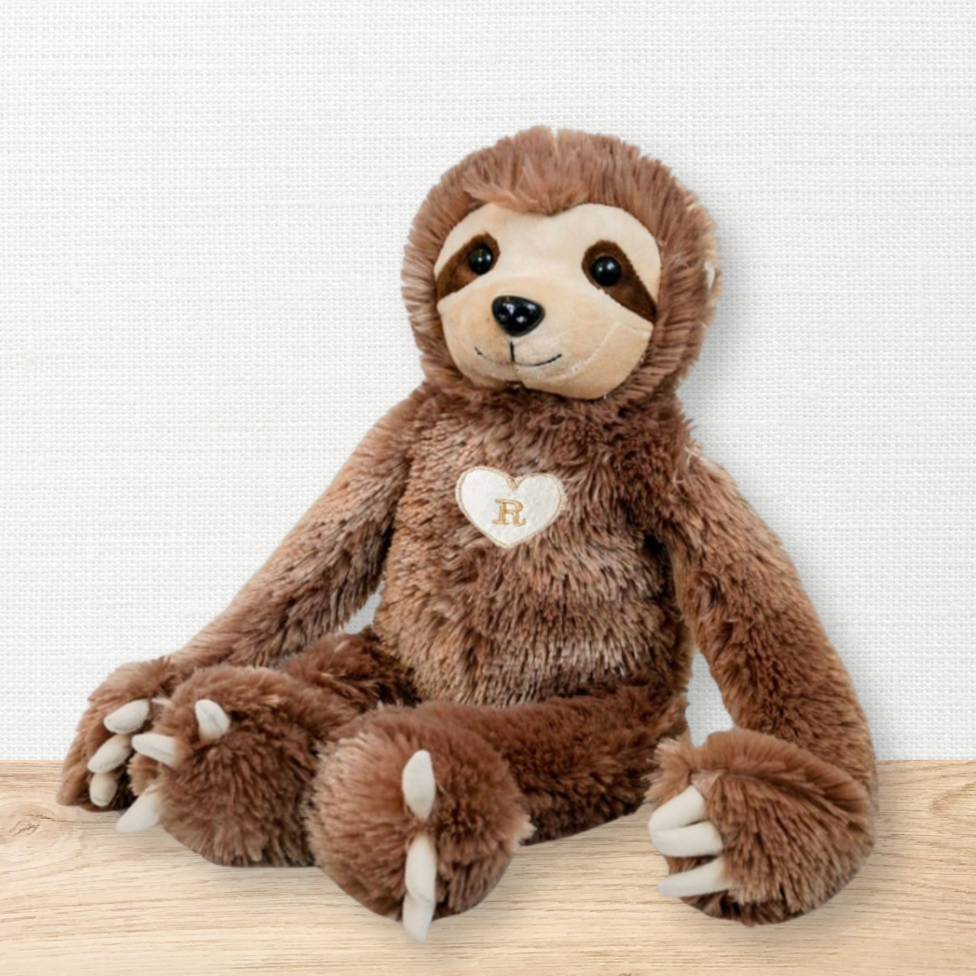 Sleepy the Sloth Blessing Buddy™