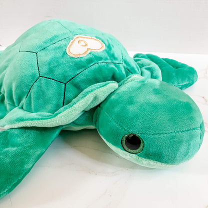 Terry Turtle Blessing Buddy™