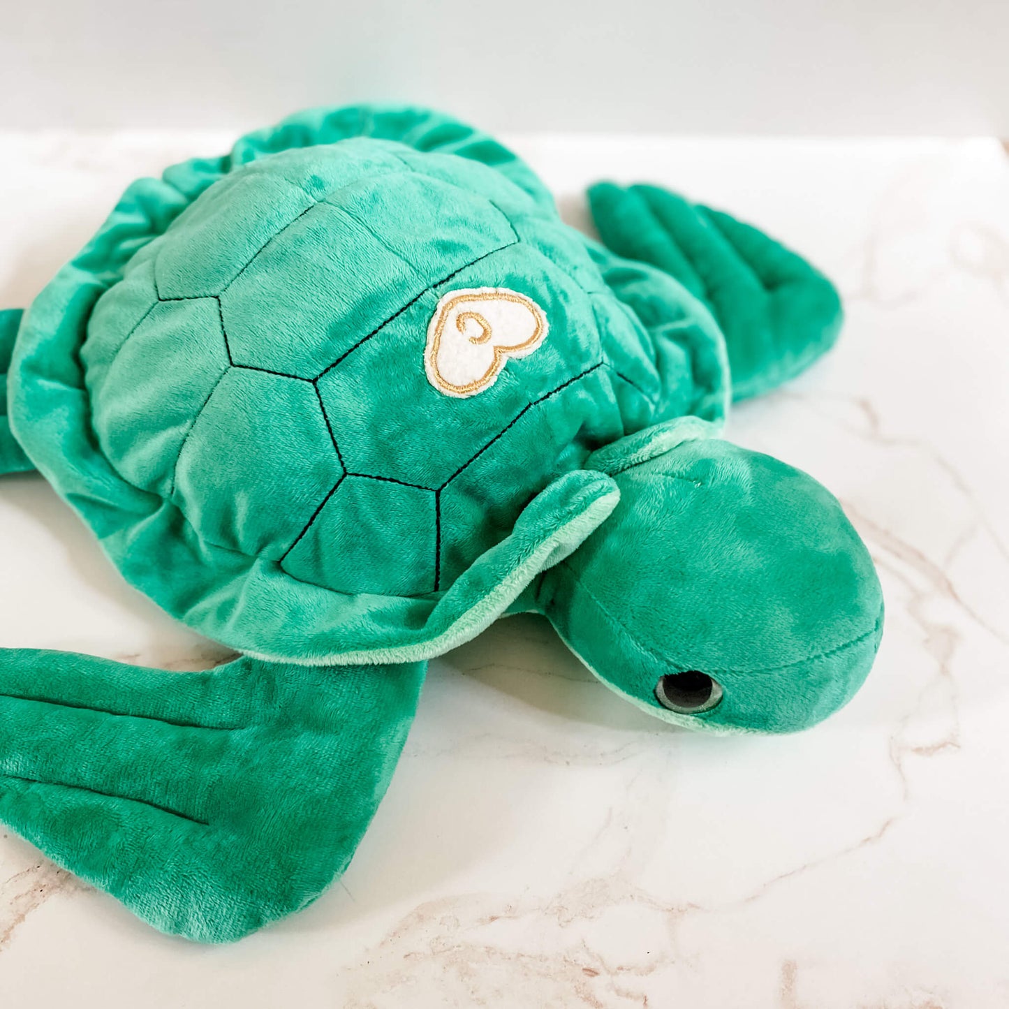 Terry Turtle Blessing Buddy™
