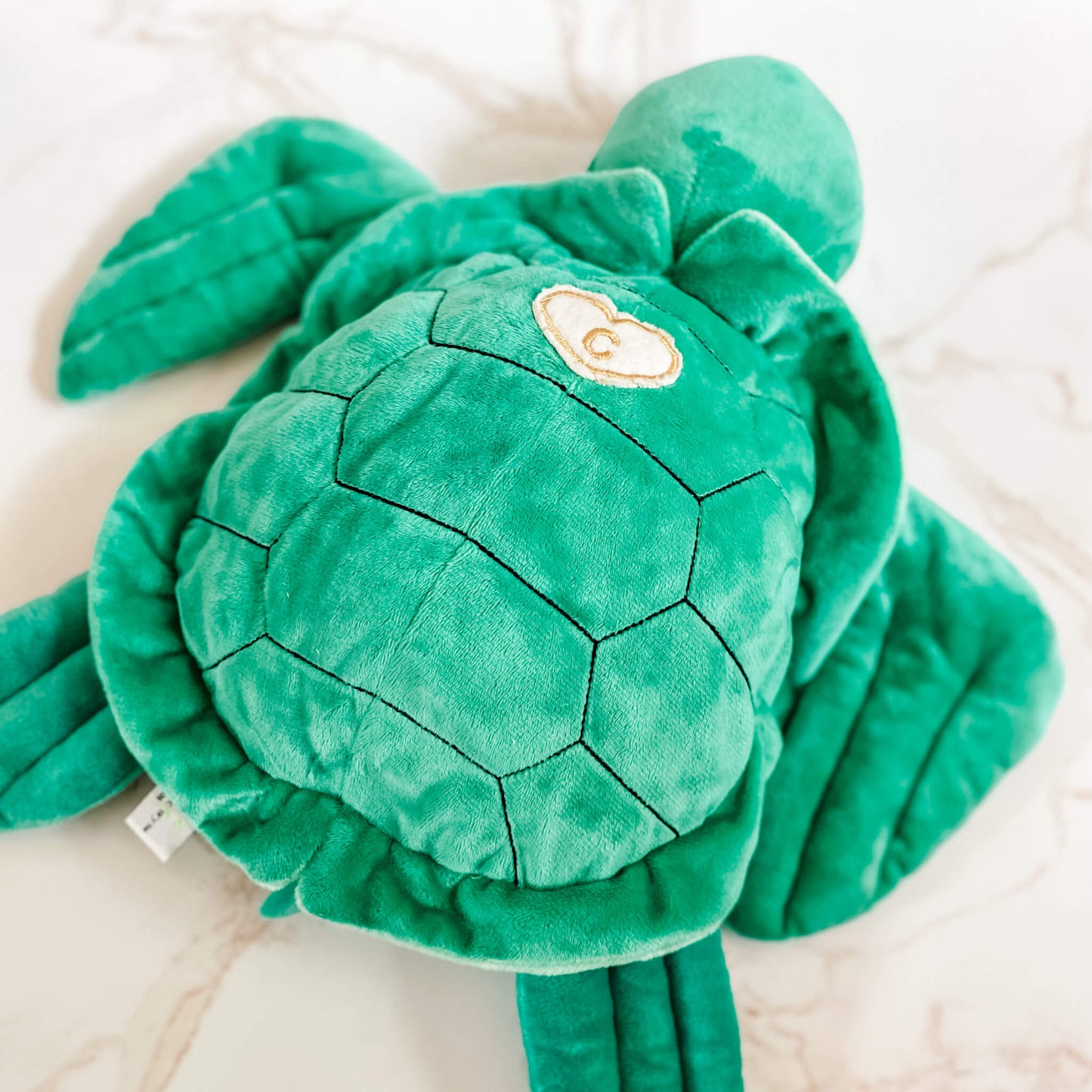 Terry Turtle Blessing Buddy™